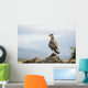 A bird perched on a rock Wall Mural