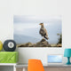 A bird perched on a rock Wall Mural