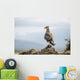 A bird perched on a rock Wall Mural