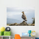 A bird perched on a rock Wall Mural