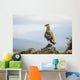 A bird perched on a rock Wall Mural