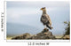 A bird perched on a rock Wall Mural