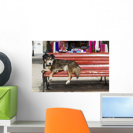 Dog sleeping on a red bench Wall Mural