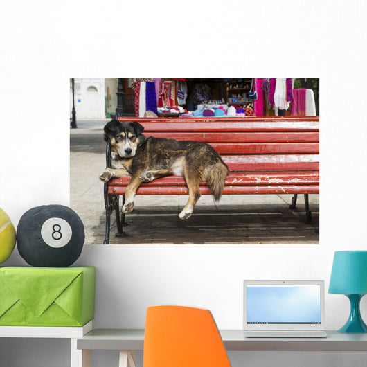 Dog sleeping on a red bench Wall Mural