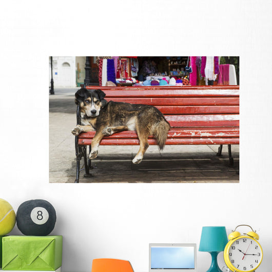Dog sleeping on a red bench Wall Mural