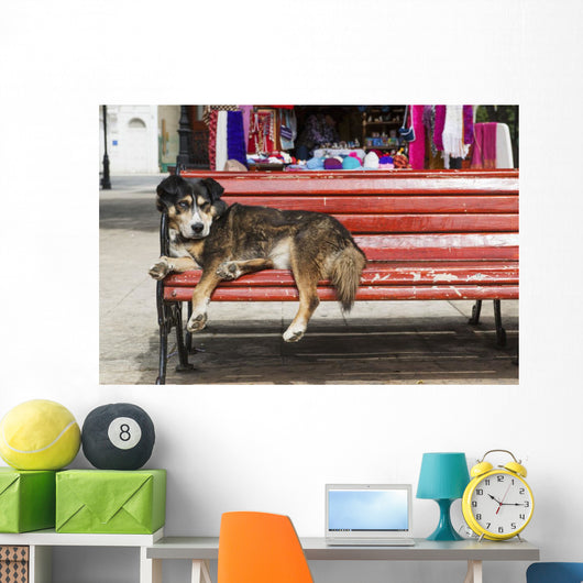 Dog sleeping on a red bench Wall Mural