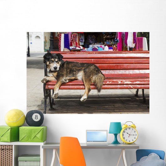Dog sleeping on a red bench Wall Mural
