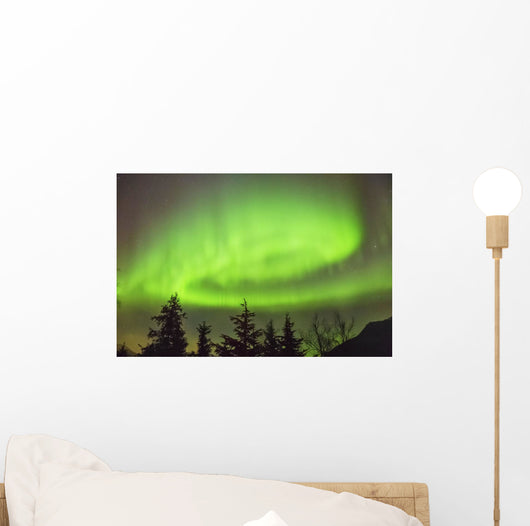 Northern Lights in the sky above Moose Pass Wall Mural