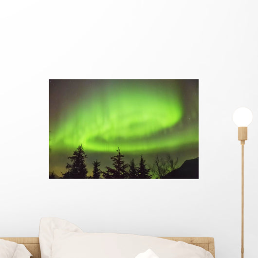 Northern Lights in the sky above Moose Pass Wall Mural
