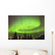 Northern Lights in the sky above Moose Pass Wall Mural