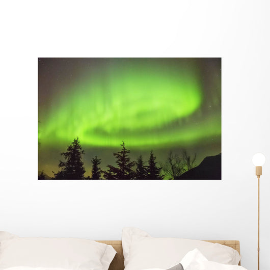 Northern Lights in the sky above Moose Pass Wall Mural