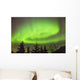 Northern Lights in the sky above Moose Pass Wall Mural