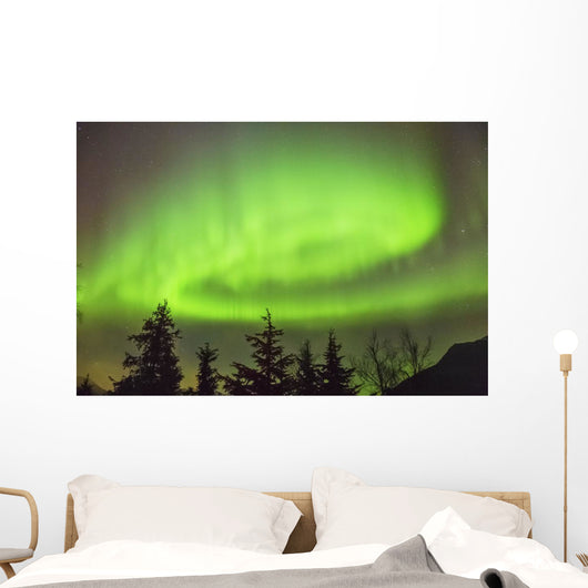 Northern Lights in the sky above Moose Pass Wall Mural