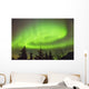 Northern Lights in the sky above Moose Pass Wall Mural