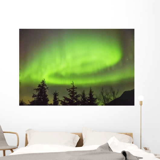 Northern Lights in the sky above Moose Pass Wall Mural