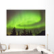 Northern Lights in the sky above Moose Pass Wall Mural