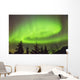 Northern Lights in the sky above Moose Pass Wall Mural