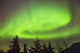 Northern Lights in the sky above Moose Pass Wall Mural