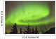 Northern Lights in the sky above Moose Pass Wall Mural
