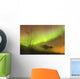 Northern Lights in the sky above Moose Pass Wall Mural