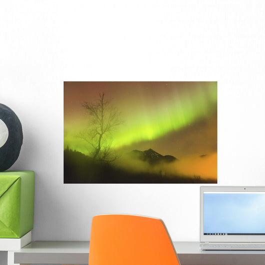 Northern Lights in the sky above Moose Pass Wall Mural