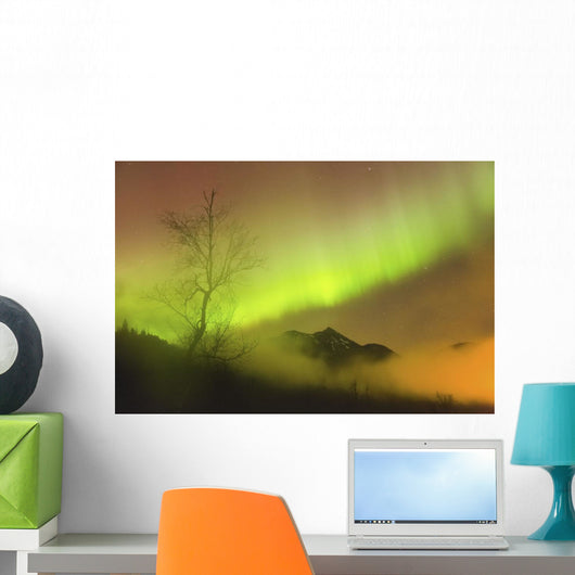 Northern Lights in the sky above Moose Pass Wall Mural