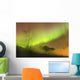 Northern Lights in the sky above Moose Pass Wall Mural
