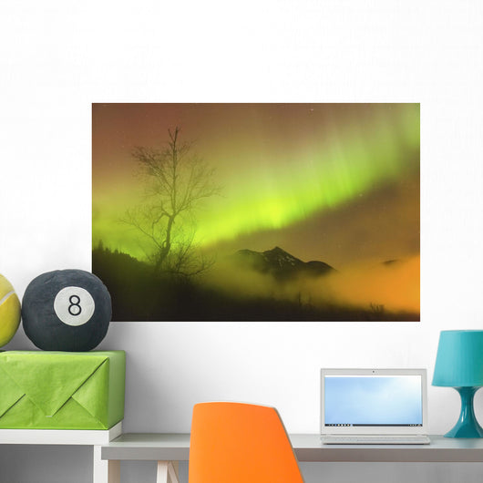 Northern Lights in the sky above Moose Pass Wall Mural