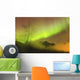 Northern Lights in the sky above Moose Pass Wall Mural