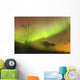 Northern Lights in the sky above Moose Pass Wall Mural