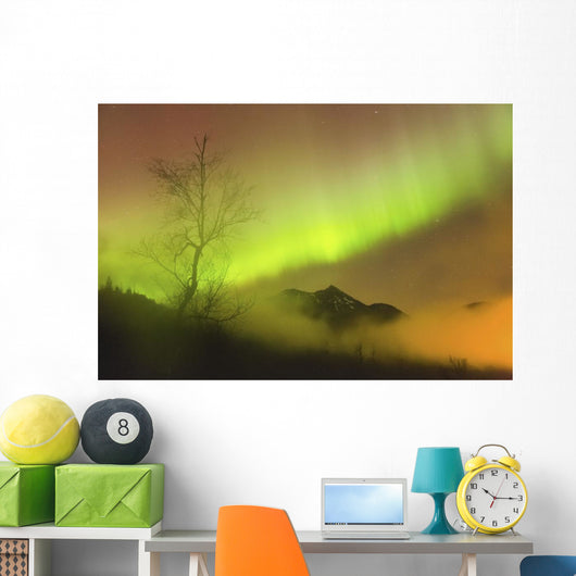 Northern Lights in the sky above Moose Pass Wall Mural
