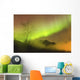 Northern Lights in the sky above Moose Pass Wall Mural