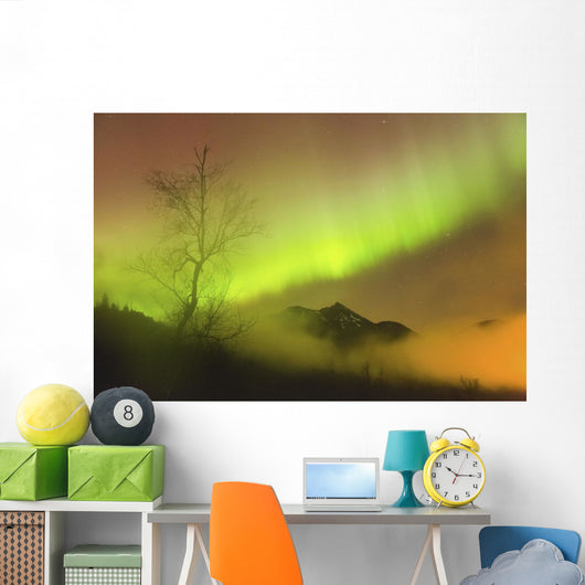 Northern Lights in the sky above Moose Pass Wall Mural