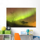 Northern Lights in the sky above Moose Pass Wall Mural