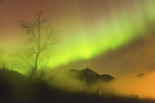Northern Lights in the sky above Moose Pass Wall Mural