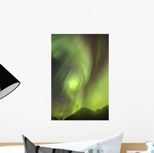 Northern Lights in the sky above Moose Pass Wall Mural