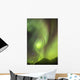 Northern Lights in the sky above Moose Pass Wall Mural