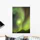 Northern Lights in the sky above Moose Pass Wall Mural