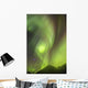 Northern Lights in the sky above Moose Pass Wall Mural