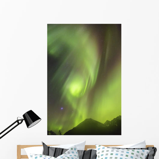 Northern Lights in the sky above Moose Pass Wall Mural