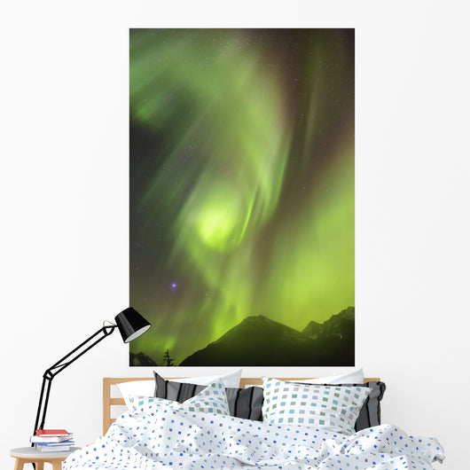 Northern Lights in the sky above Moose Pass Wall Mural