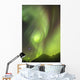 Northern Lights in the sky above Moose Pass Wall Mural
