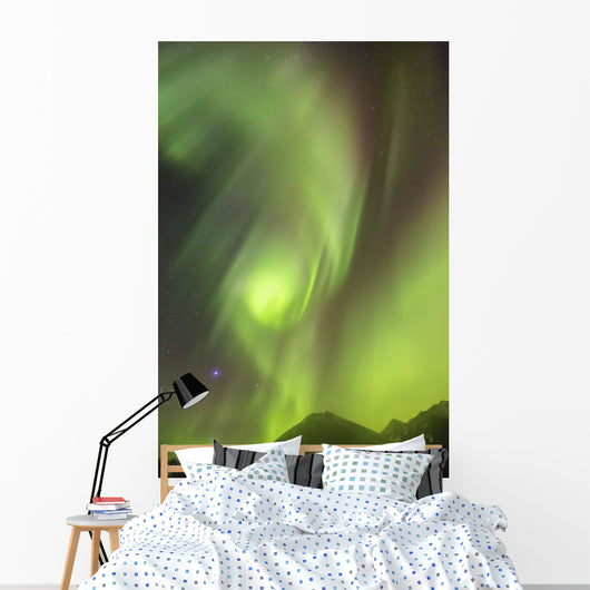 Northern Lights in the sky above Moose Pass Wall Mural
