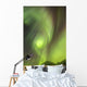 Northern Lights in the sky above Moose Pass Wall Mural