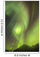 Northern Lights in the sky above Moose Pass Wall Mural
