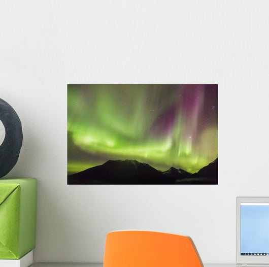 Northern Lights in the sky above Moose Pass Wall Mural