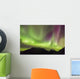 Northern Lights in the sky above Moose Pass Wall Mural
