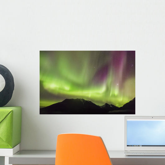 Northern Lights in the sky above Moose Pass Wall Mural
