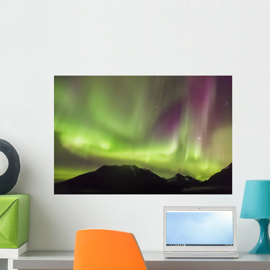 Northern Lights in the sky above Moose Pass Wall Mural