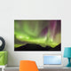 Northern Lights in the sky above Moose Pass Wall Mural